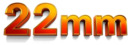 22 mm